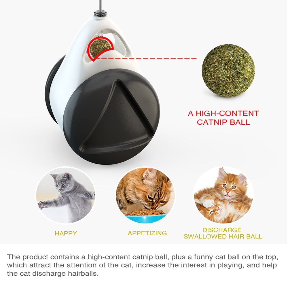 Catnip Balance Swing Car Toy