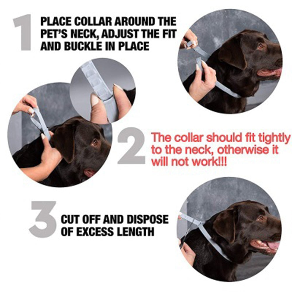 Natural Anti-Flea, Tick, & Mosquito Collar (Advanced Protection)