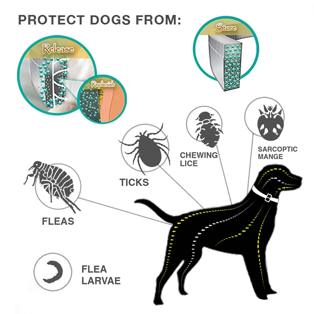 Natural Anti-Flea, Tick, & Mosquito Collar (Advanced Protection)