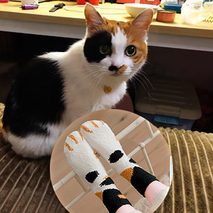 Cat Paw Socks